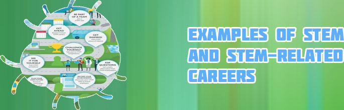 A career in stem