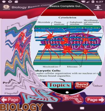 Basic biology