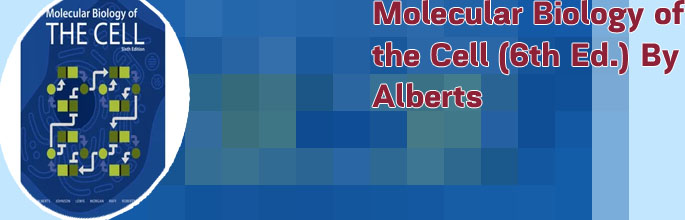 Bruce alberts molecular biology of the cell