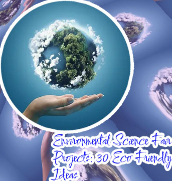 Environmental science project
