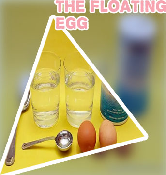 Floating egg experiment