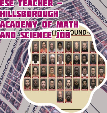 Hillsborough academy of math and science