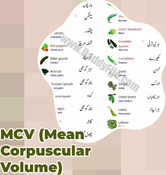 Physics meaning in urdu