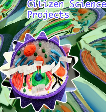 Project science model