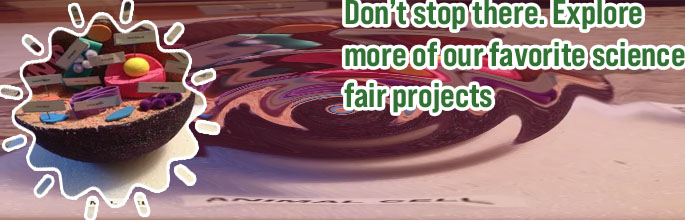 Science model making ideas