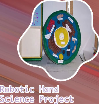 Science project for class 8 pdf