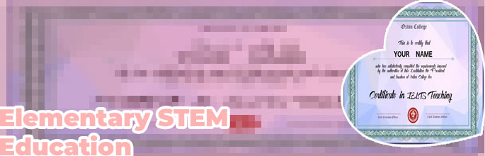 Stem certified teacher