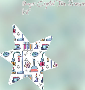 Sugar crystal experiment