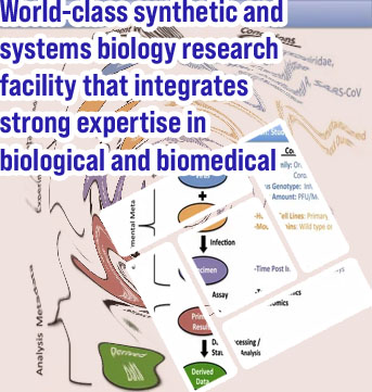 Systems biology