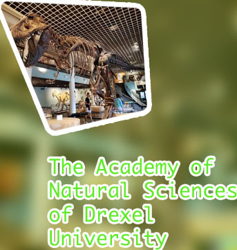 The academy of natural sciences