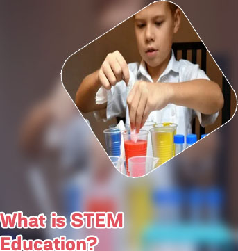 What is stem education