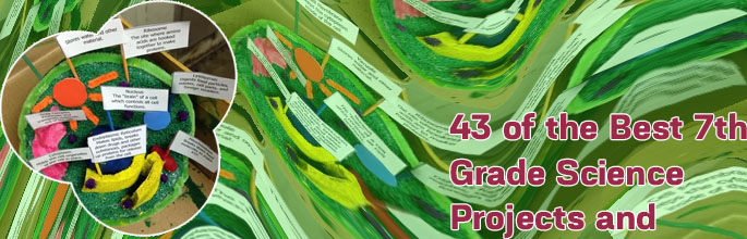 Working science project for class 7